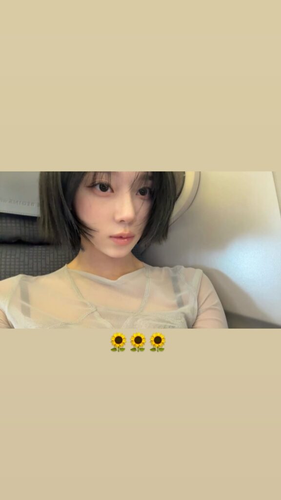 260213 Winter Instagram Story Update