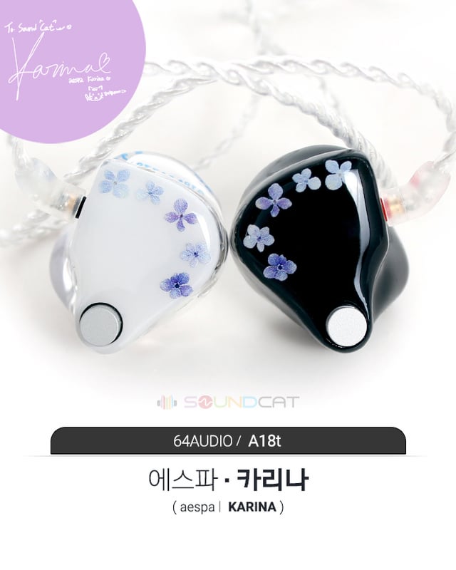 aespa's Custom In-Ear Monitors