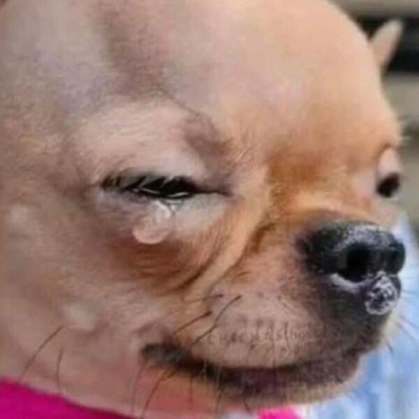 260217 Giselle Instagram Profile Update