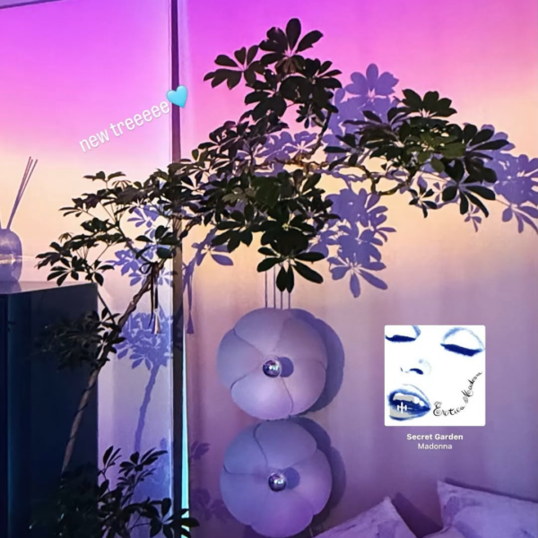 260305 Ningning Instagram Story Update