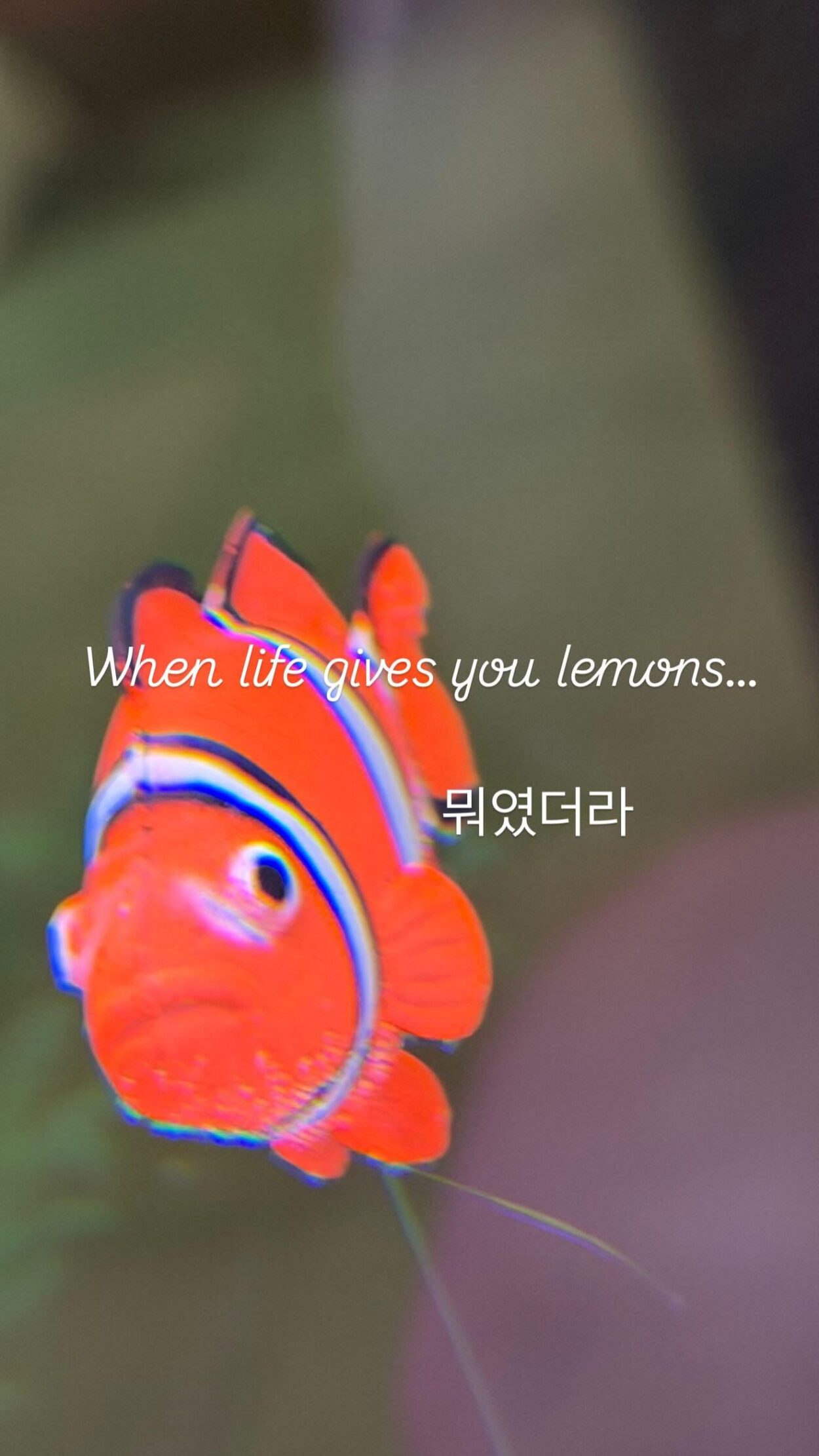 260430 Winter Instagram Story Update