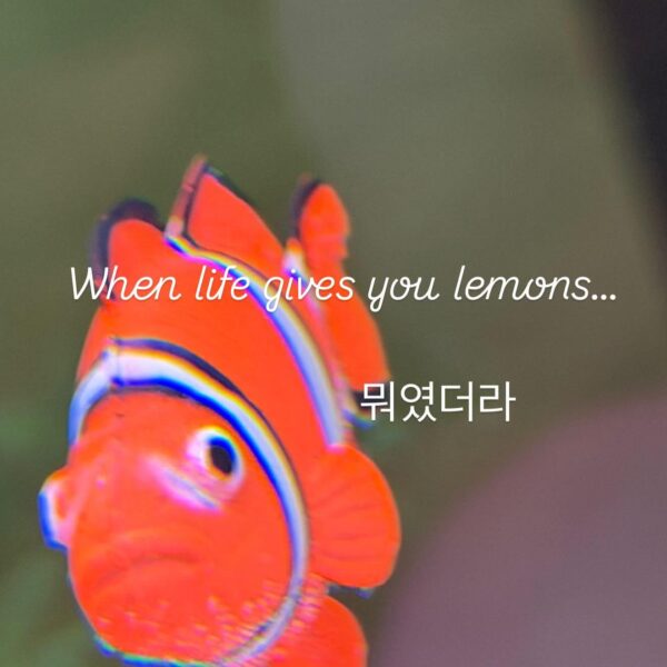 260430 Winter Instagram Story Update