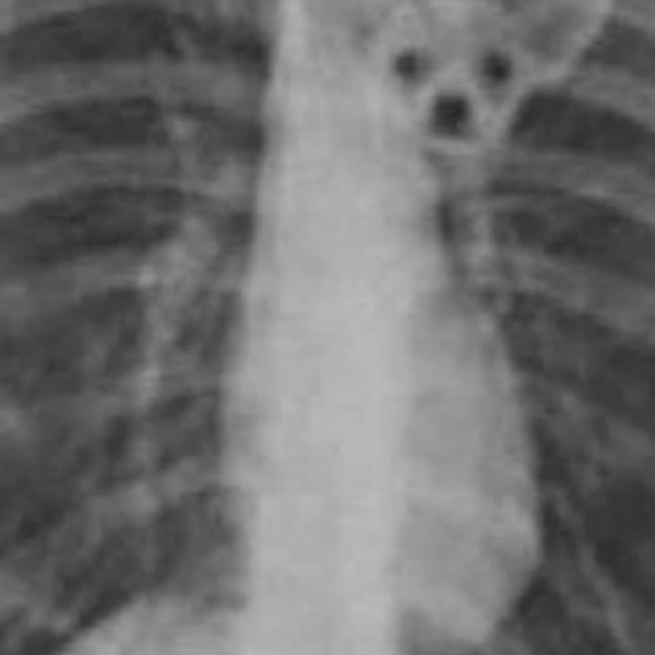 260416 Giselle Instagram Story Update