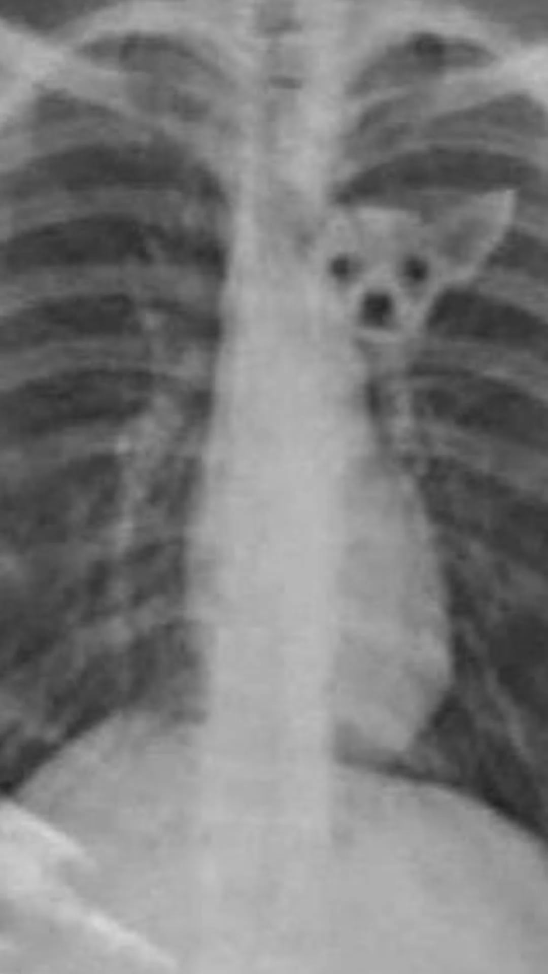 260416 Giselle Instagram Story Update