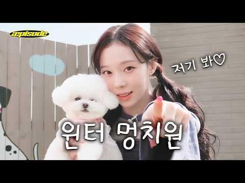 260423 Winter - aepisode: It looks like puppies like the smell of puppies, too.