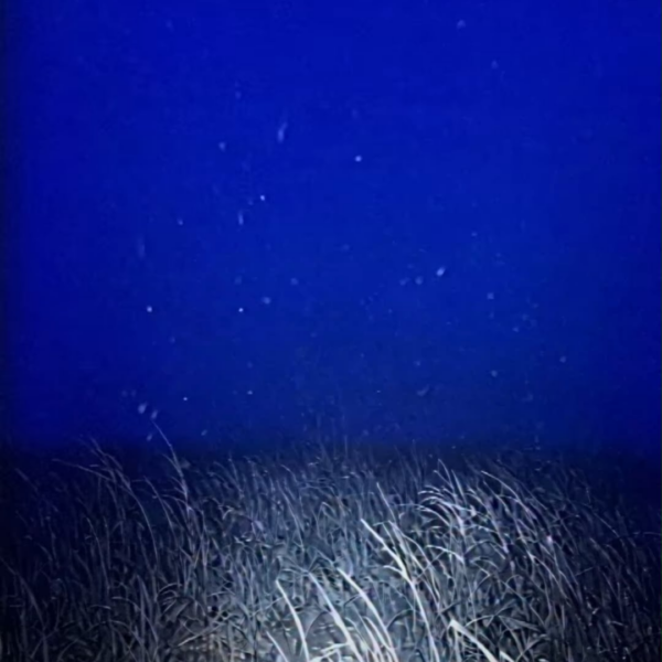 260428 aespa Instagram Reels Update - Something’s off here