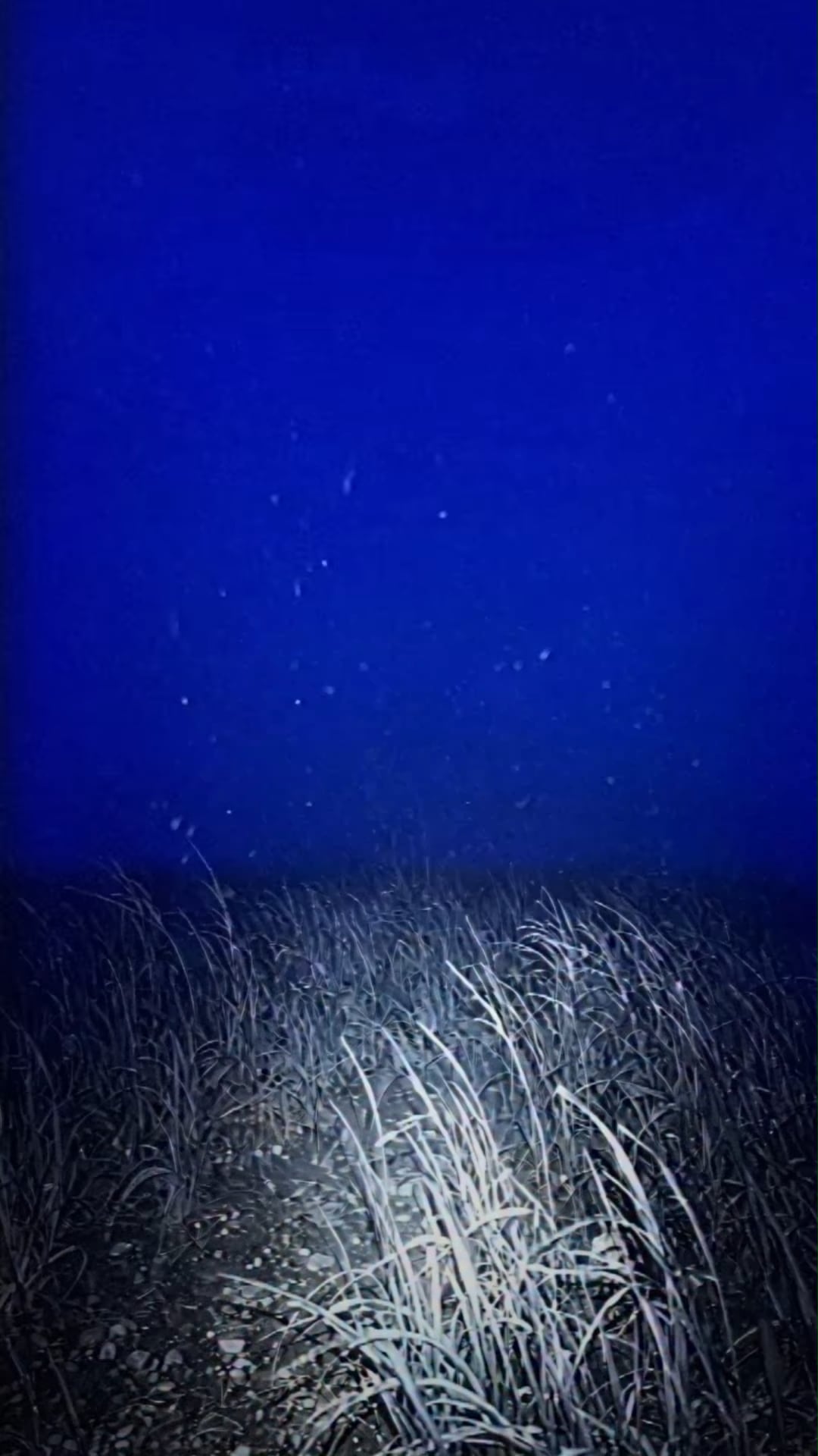 260428 aespa Instagram Reels Update - Something’s off here