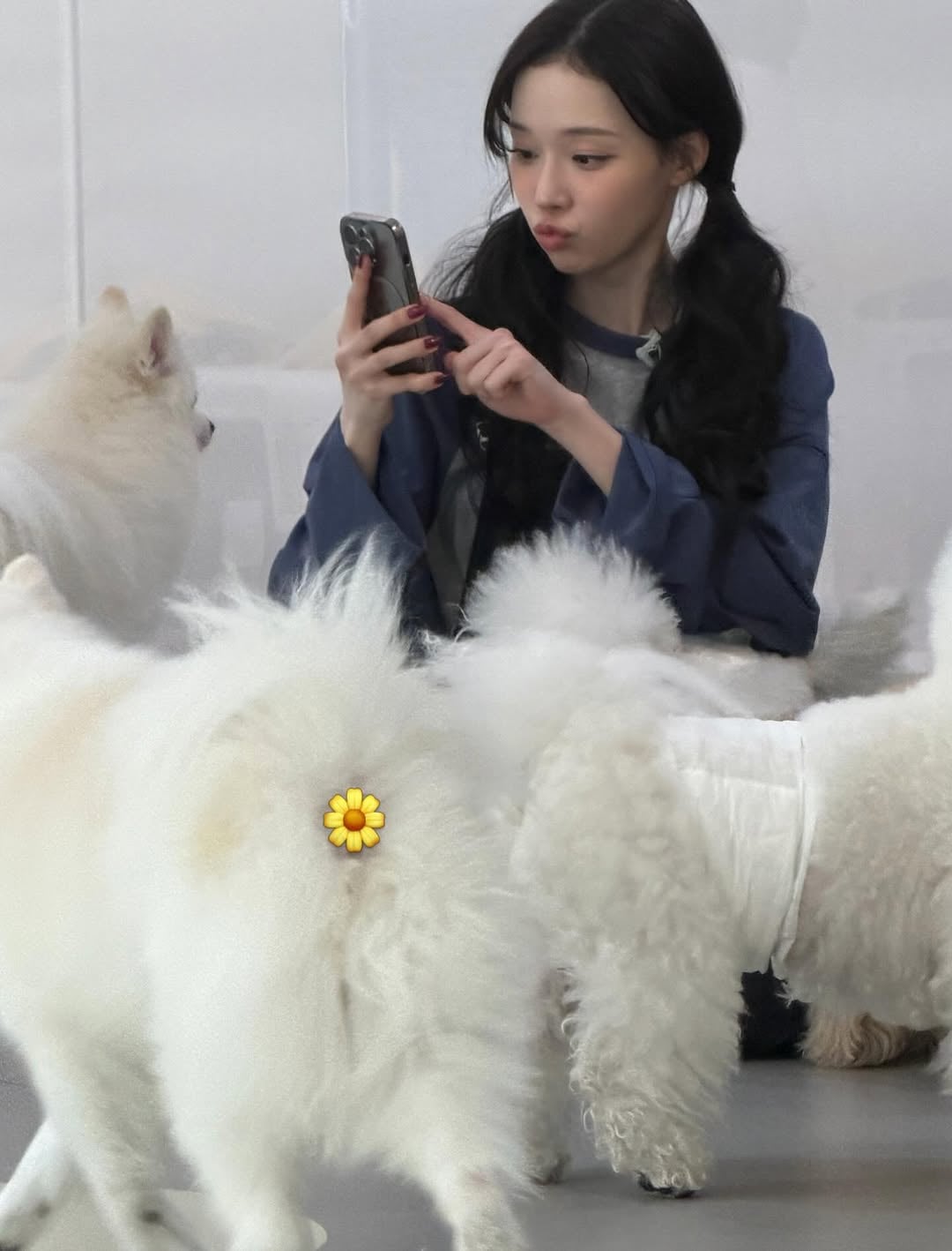 260424 Winter Instagram Update