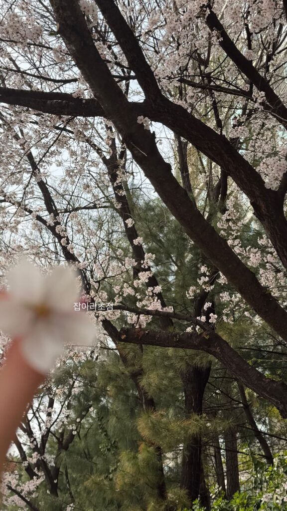 260401 Winter Instagram Story Update