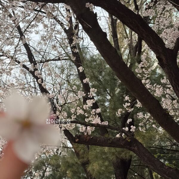 260401 Winter Instagram Story Update