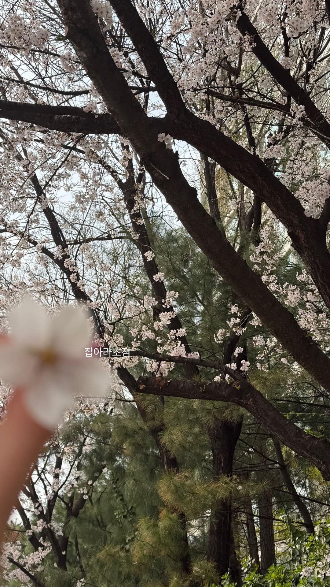 260401 Winter Instagram Story Update