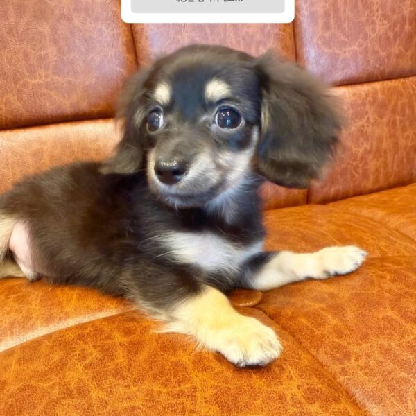 260427 Ningning Instagram Story Update