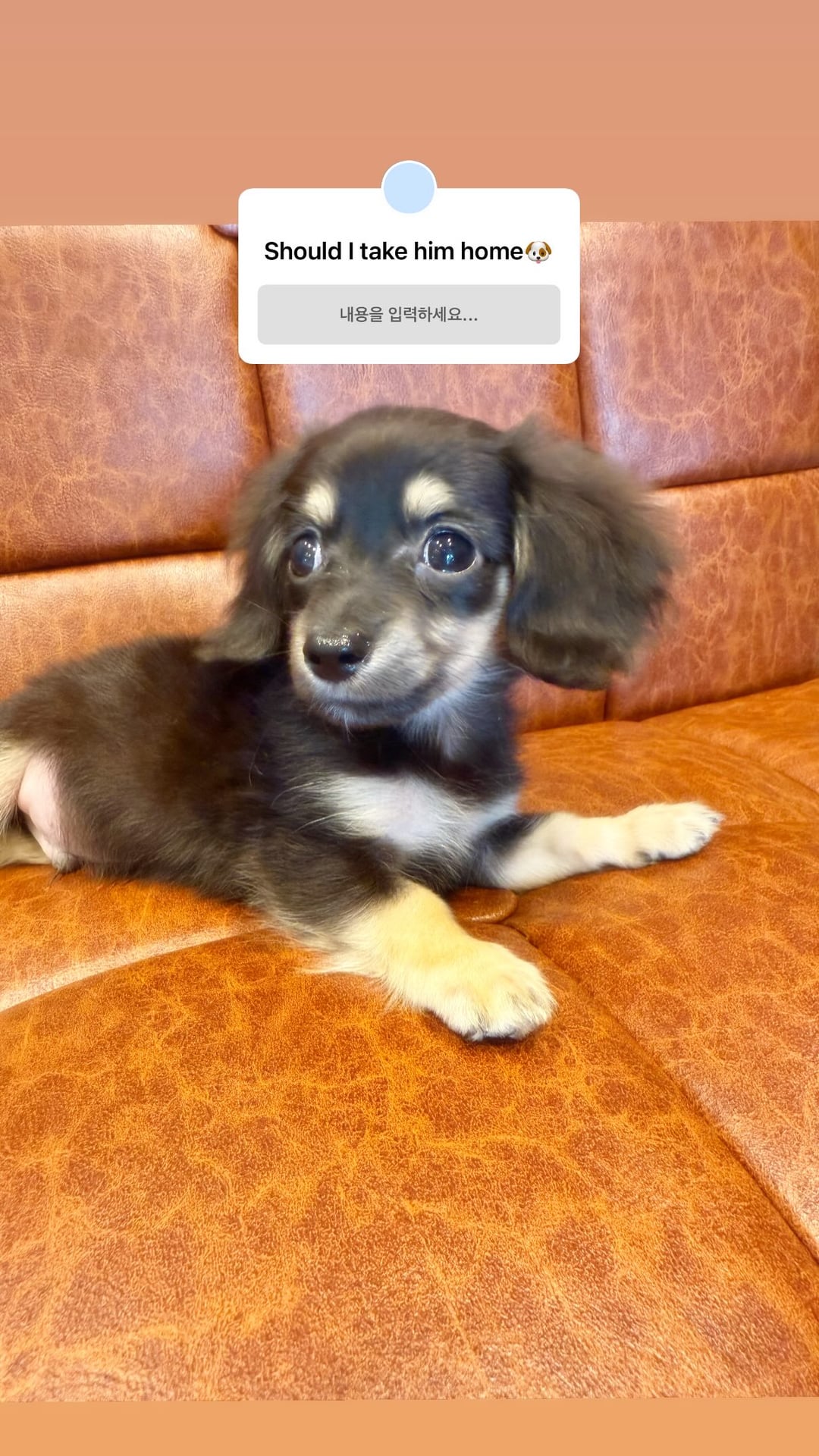 260427 Ningning Instagram Story Update