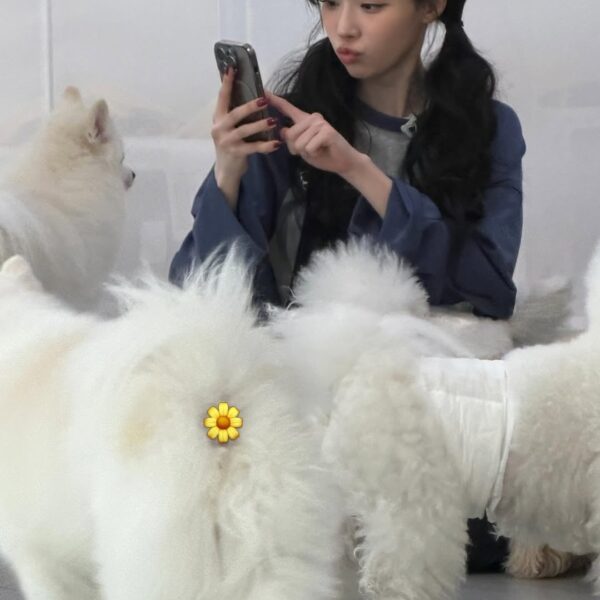 260424 Winter Instagram Update