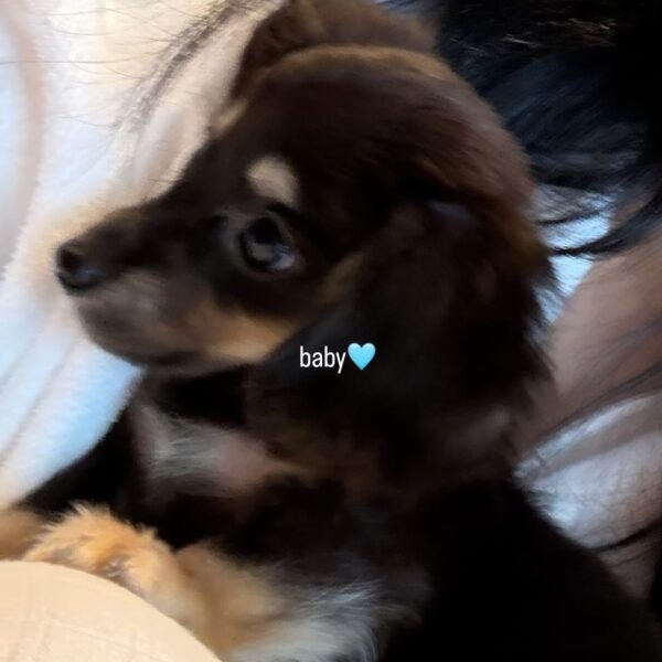 260429 Ningning Instagram Story Update