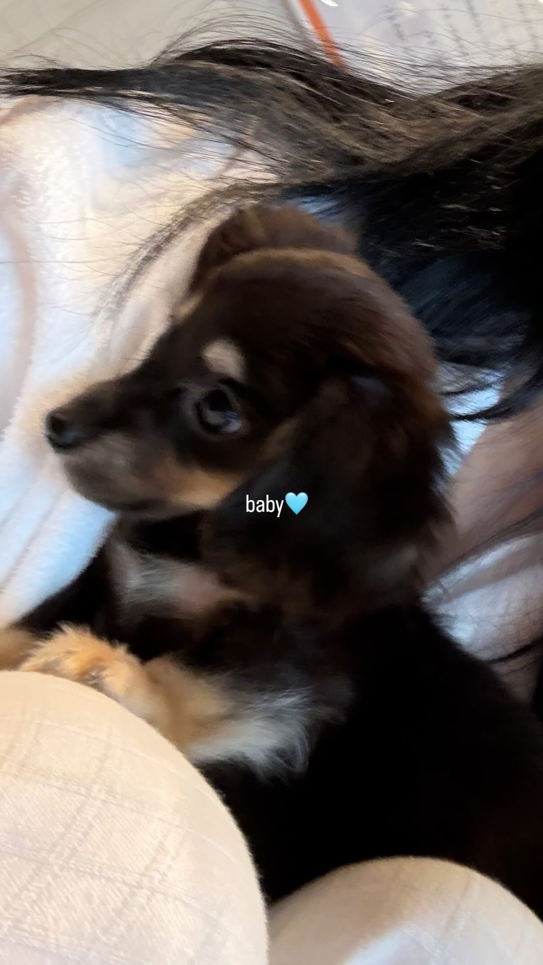 260429 Ningning Instagram Story Update