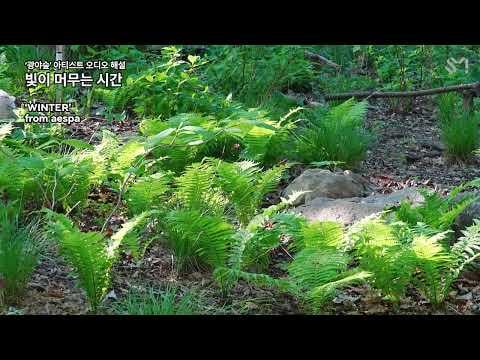 260429 Winter -  The Time When the Light Lingers (KWANGYA FOREST Artist Audio Commentary) @ SM SMile
