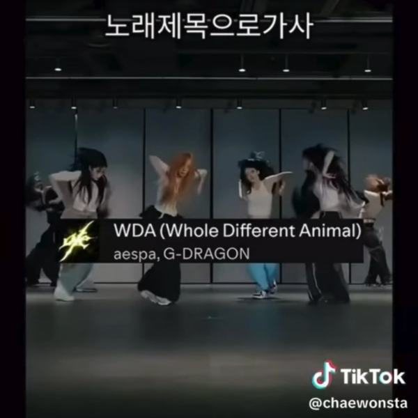 This is the coolest omg!