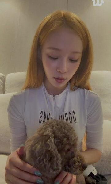 260508 Winter Wevese Live