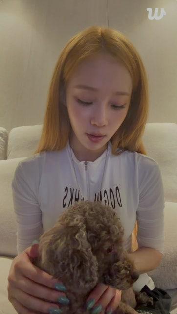 260508 Winter Wevese Live