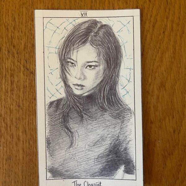 Hello deck update. The Chariot (control, willpower, victory ) and The Devil (temptation, attachment, control). Karina, Ningning