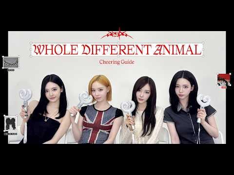 260513 aespa - WDA (Whole Different Animal) (Cheering Guide)