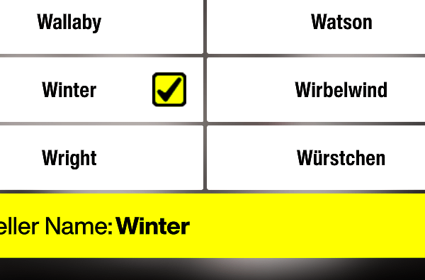 You can choose Winter as a nickname in Forza 6