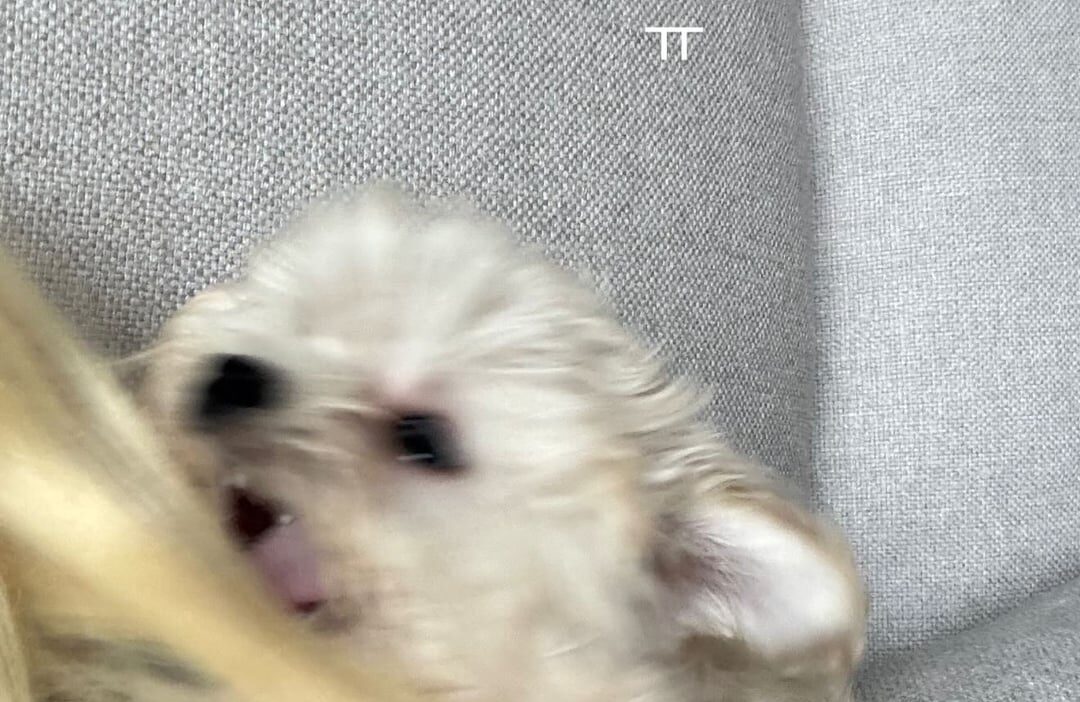 260630 Winter Instagram Story Update with Bbonyo