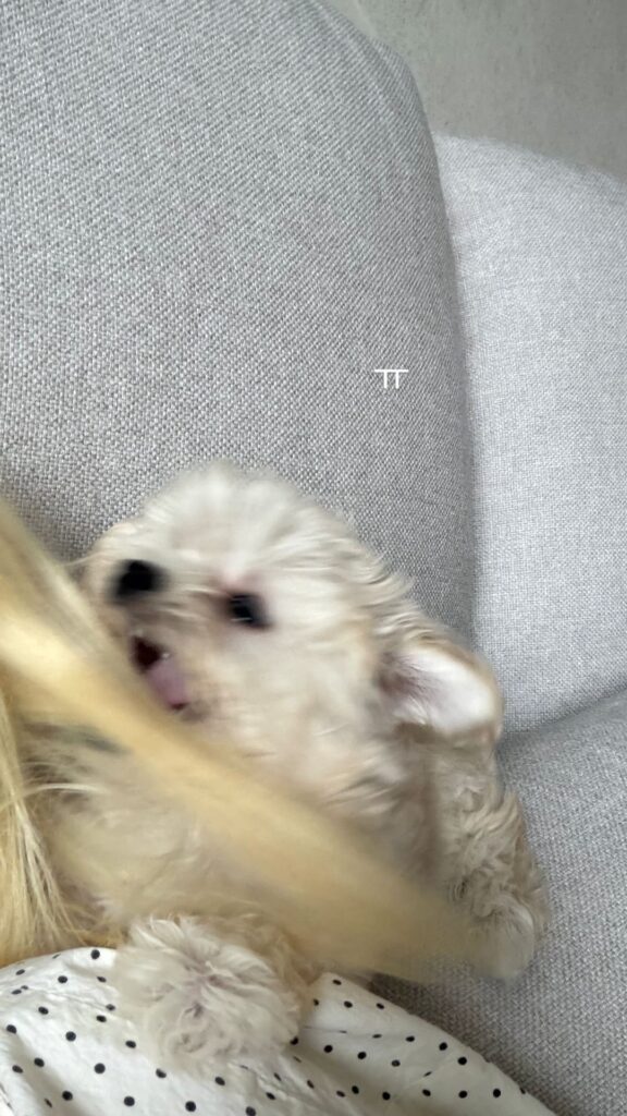 260630 Winter Instagram Story Update with Bbonyo