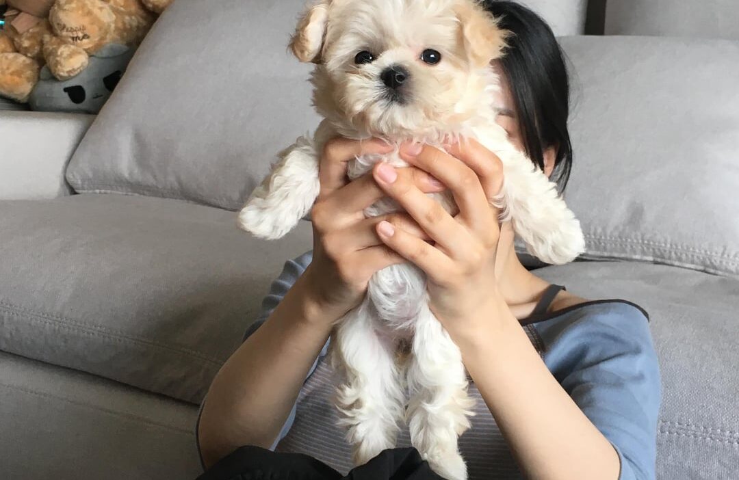 260630 Actress & ex-SM Trainee Park Jungyeon Instagram Update with Winter's Puppy Bbonyo