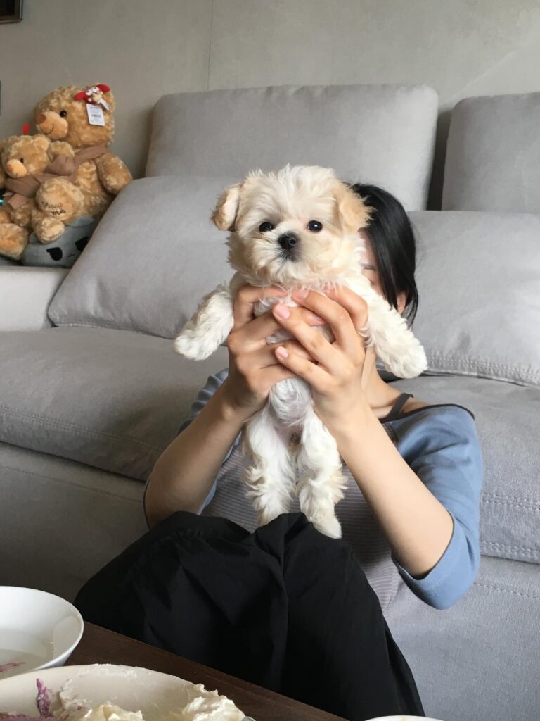 260630 Actress & ex-SM Trainee Park Jungyeon Instagram Update with Winter's Puppy Bbonyo