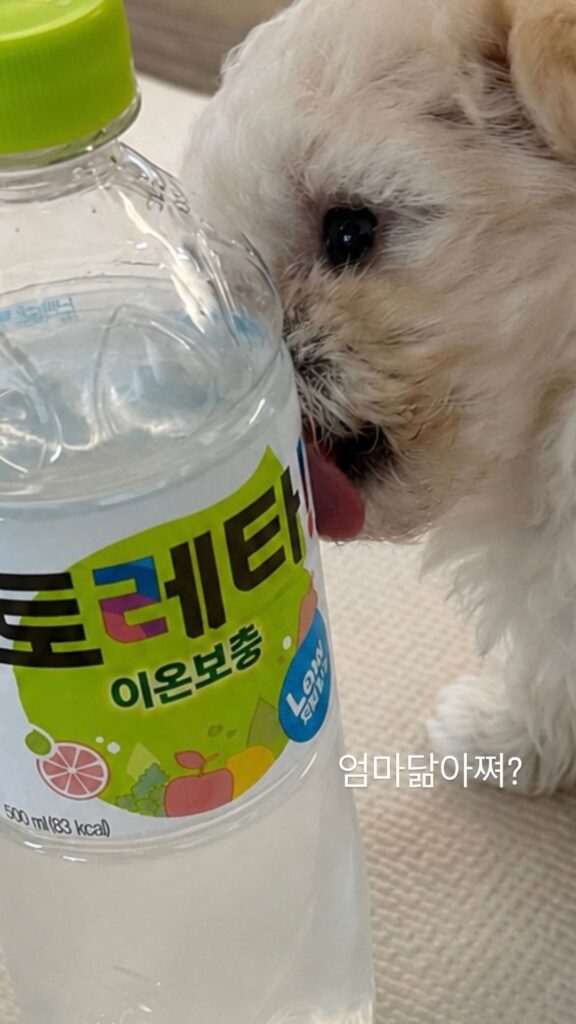 260618 Winter Instagram Story Update