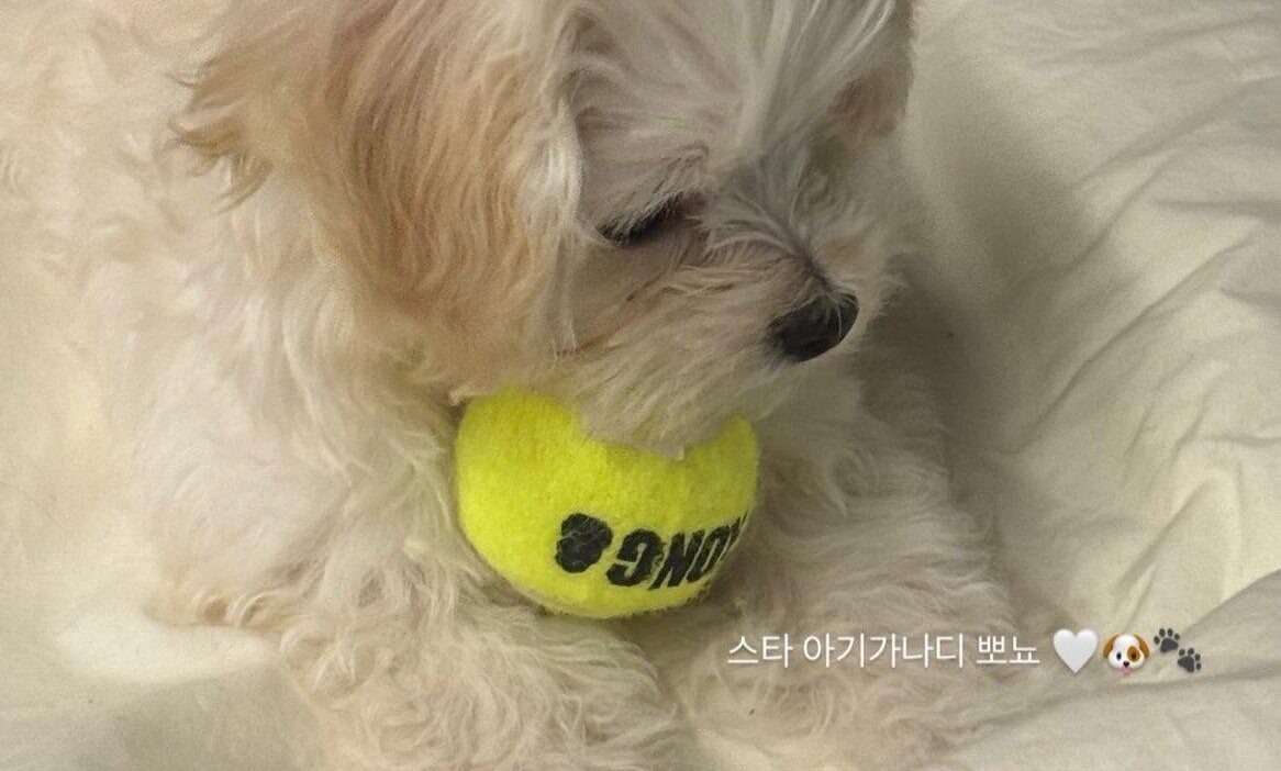 260729 Jeongmin Dancer Instagram Story Update with Bbonyo