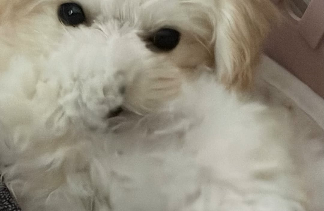 260720 Winter Instagram Story Update with Bbonyo