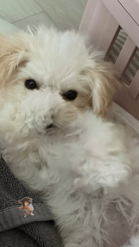 260720 Winter Instagram Story Update with Bbonyo