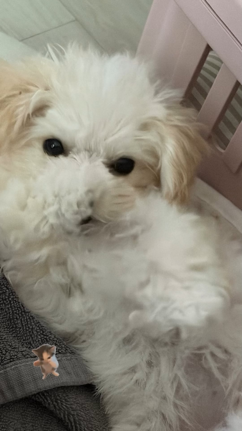 260720 Winter Instagram Story Update with Bbonyo