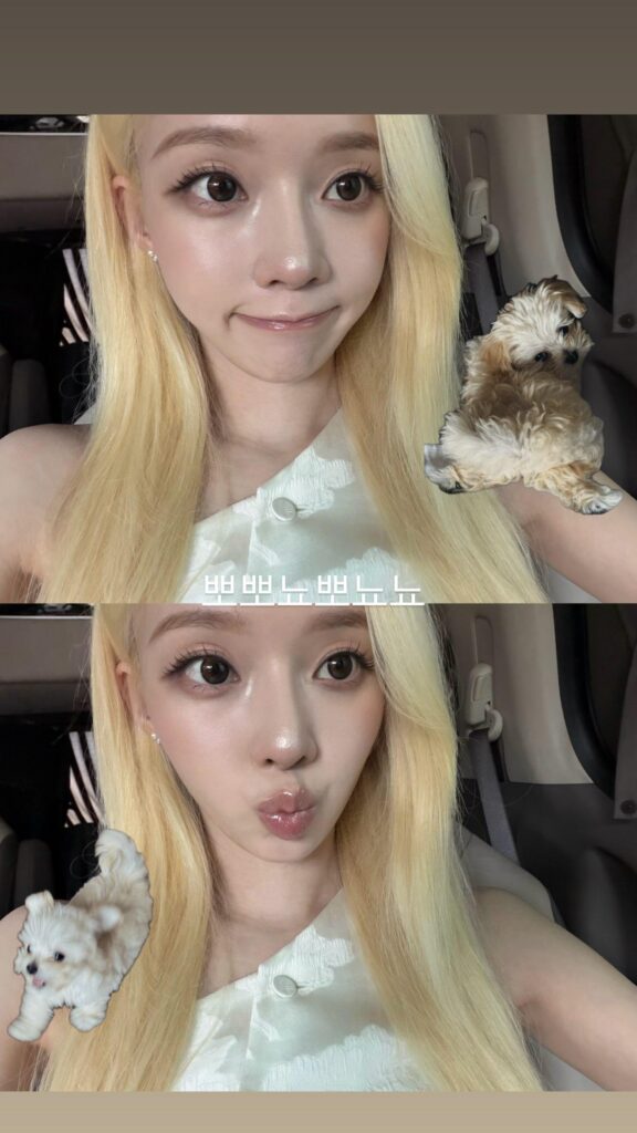 260716 Winter Instagram Story Update