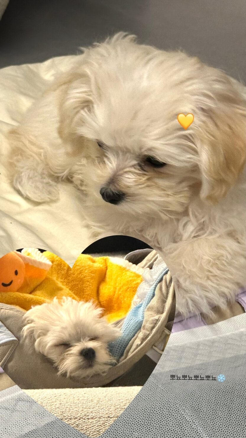 260729 aespa's dancers Instagram Story Update with Pponyo