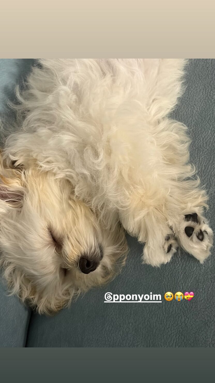 260818 Cho Eunbee Makeup Artist Instagram Story Update with Pponyo