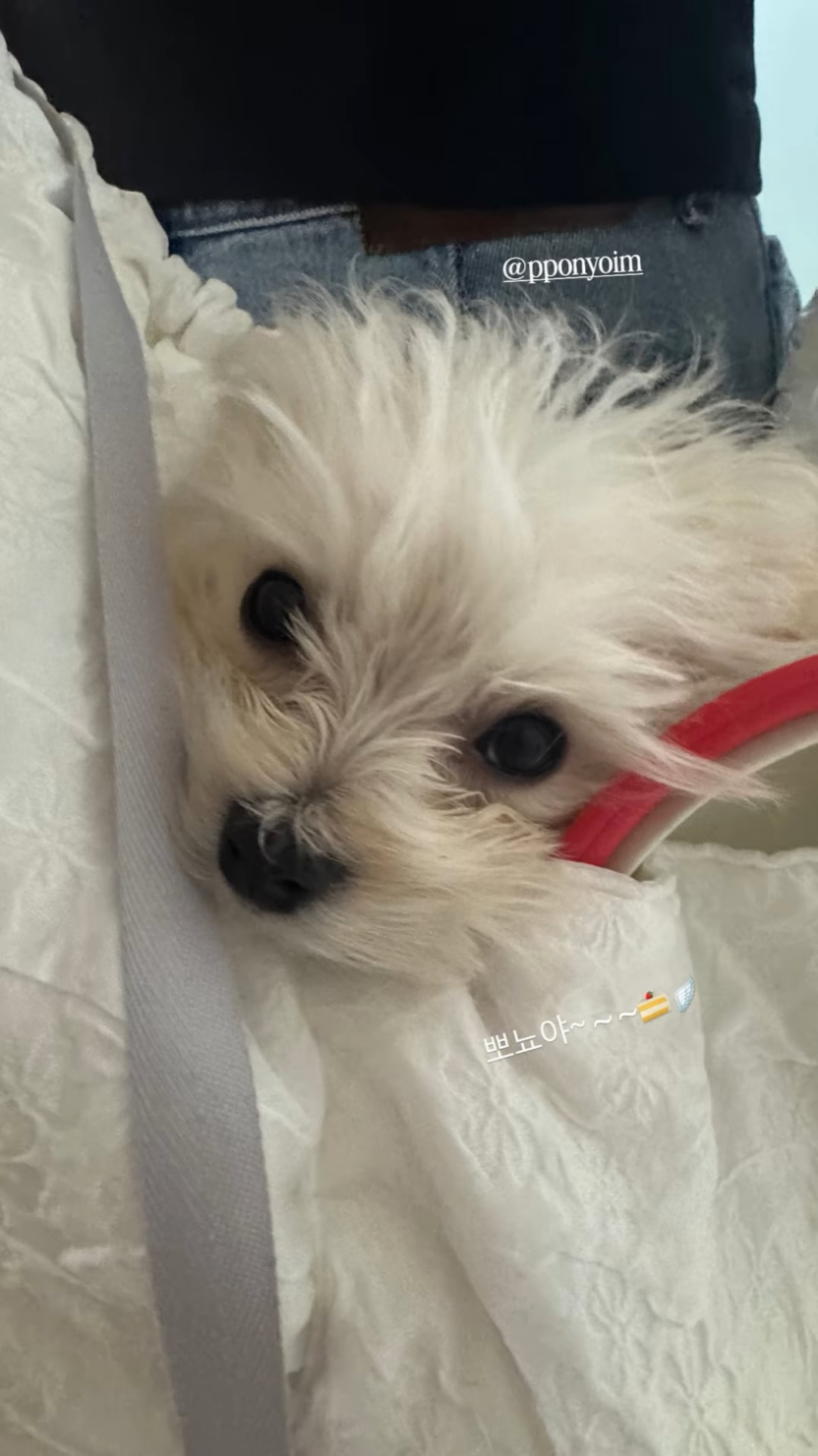 260805 Park Anna Stylist Instagram Story Update with Pponyo