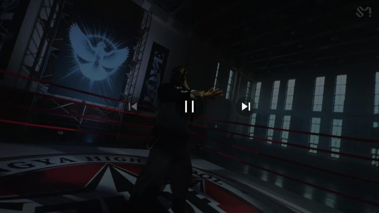 Someone flagged Ty's verse in the new MV so it prompts a "Skip Non-Music" section of the video.
