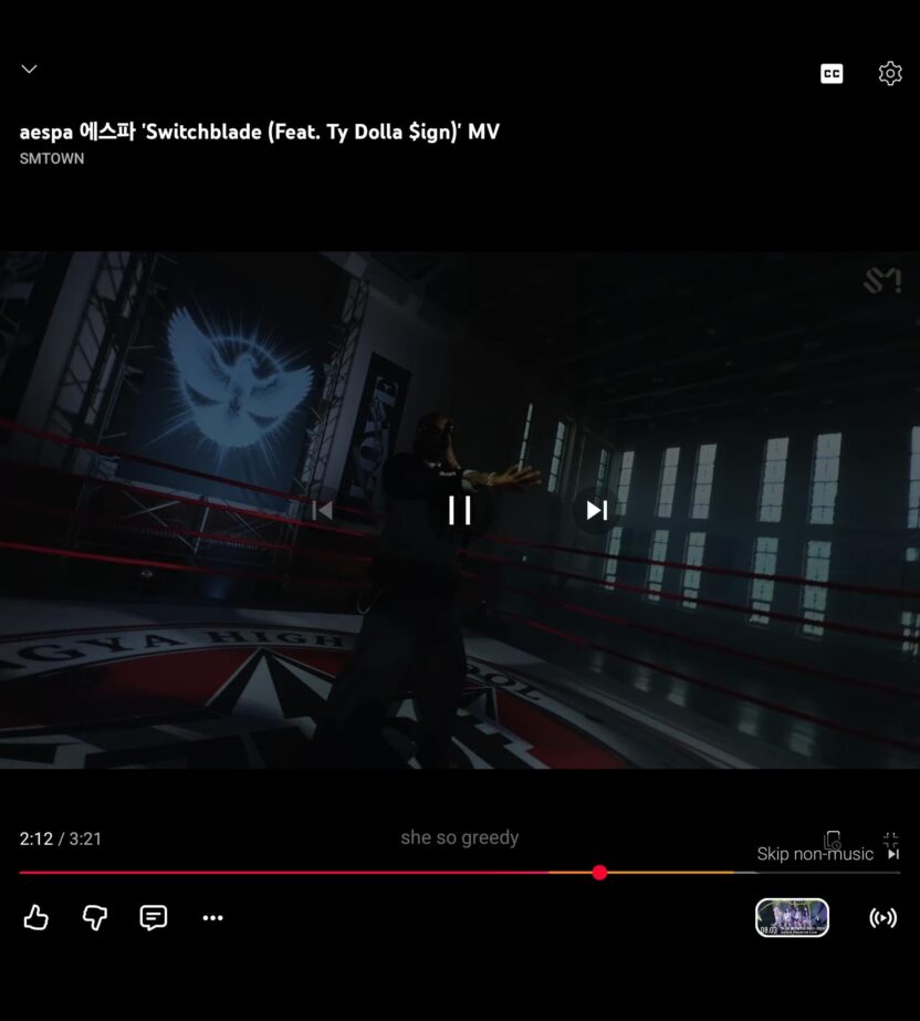 Someone flagged Ty's verse in the new MV so it prompts a "Skip Non-Music" section of the video.
