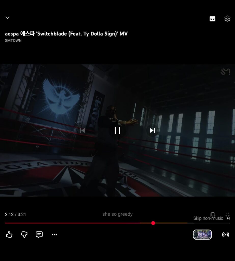 Someone flagged Ty's verse in the new MV so it prompts a "Skip Non-Music" section of the video.