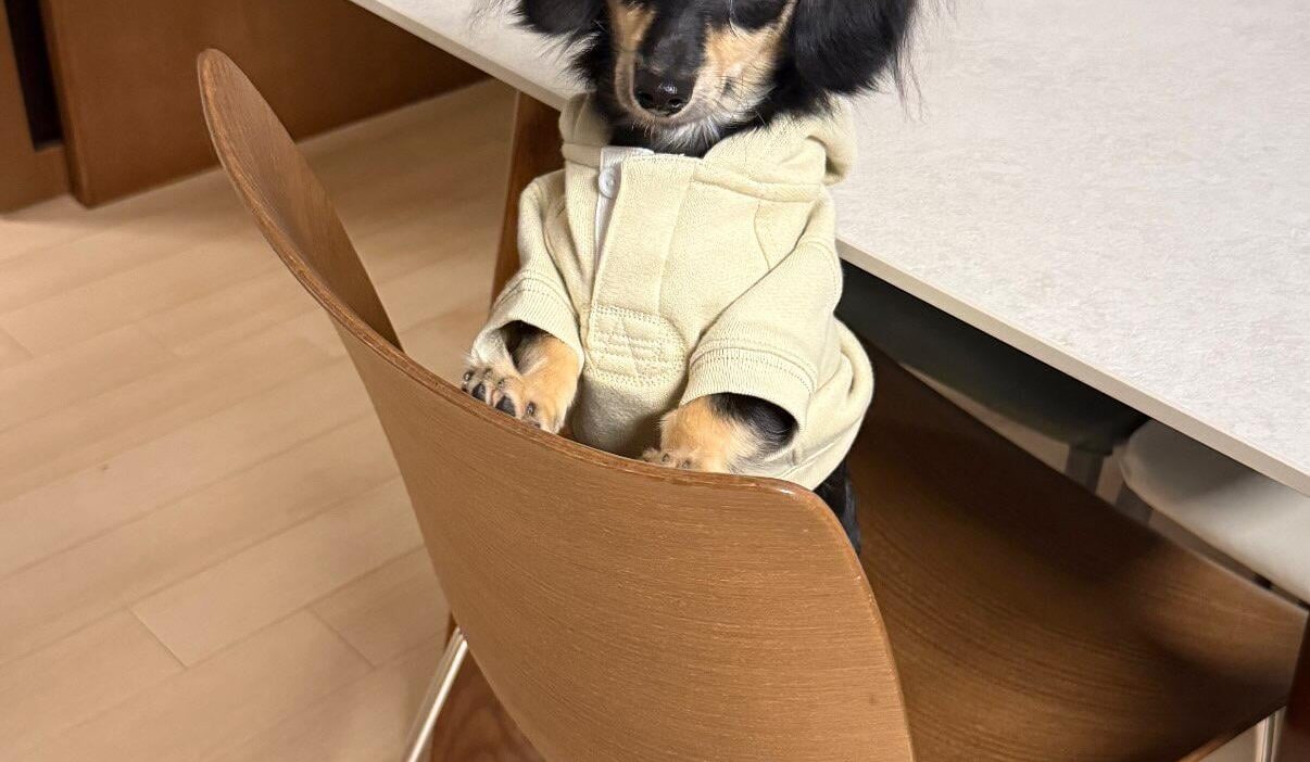 260817 Ningning Instagram Story Update with Seven